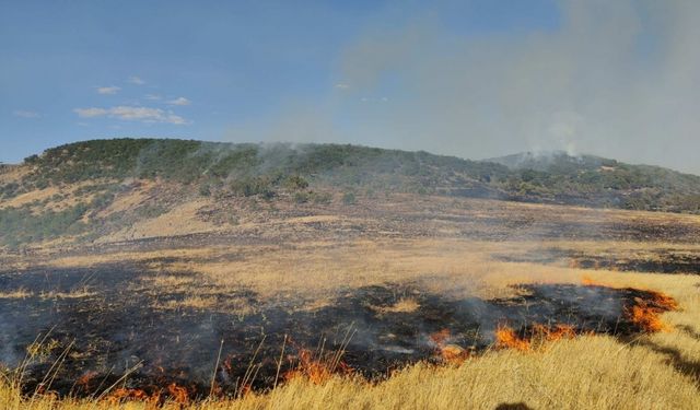 GÜNCELLEME - Tunceli'de ormanlık alanda çıkan yangına müdahale ediliyor