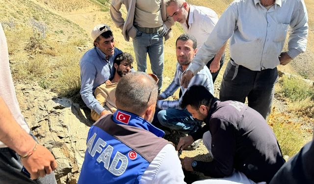 Hakkari'de ayı saldırısına uğrayan çoban yaralandı