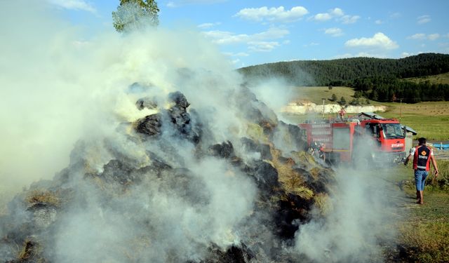 Kars'ta çıkan yangında 400 balya ot kül oldu