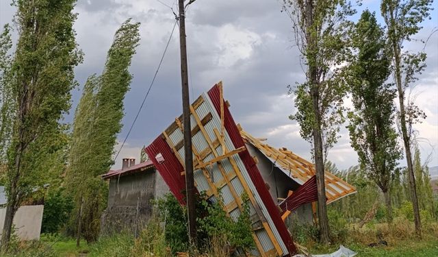 Kars'ta etkili olan sel bazı meyve bahçelerine zarar verdi