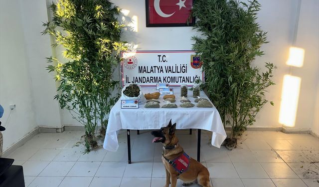 Malatya'da uyuşturucu operasyonunda 1 zanlı yakalandı