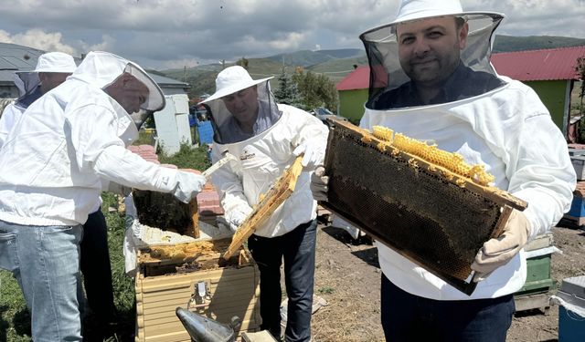 Tescilli "Ardahan çiçek balı"nda süzüm mesaisi başladı