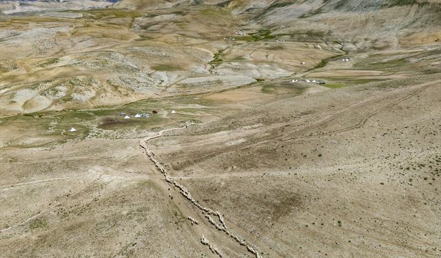 Tunceli yaylalarının iş yükü kadınların omuzunda