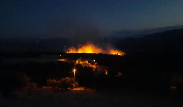 Altıntaş köyünde çıkan örtü yangını Anagold çalışanlarının da müdahalesiyle söndürüldü