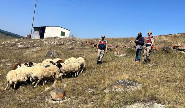 Ardahan'da kaybolan 92 hayvan bulunarak sahiplerine teslim edildi