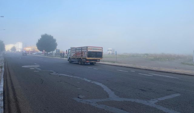 Ardahan'da yoğun sis etkili oldu