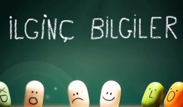 Daha önce hiç duymadığınız 25 ilginç bilgi