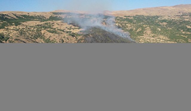 Elazığ'da ormanlık alanda çıkan yangın söndürüldü