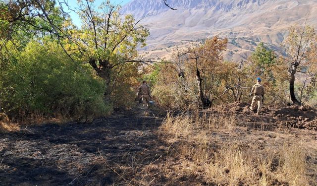 GÜNCELLEME - Tunceli'de ormanlık alanlarda çıkan yangınlar söndürüldü