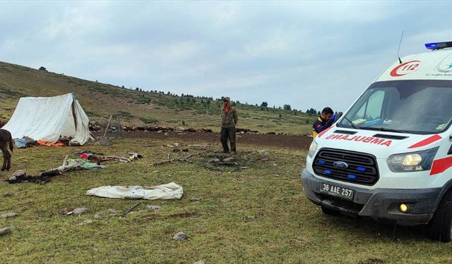 Kars'ta yıldırım düşmesi nedeniyle 2 çoban hafif yaralandı