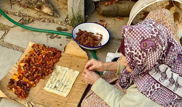 Kayısıyı yarması, yemesi kadar kolay değil!