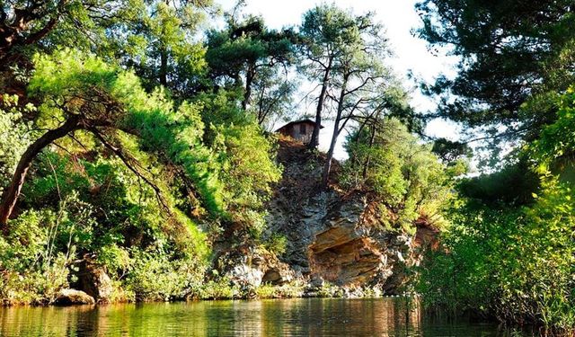 Kaz Dağları Hangi Şehirde? Nasıl gidilir ve özellikleri neler?