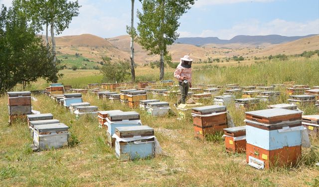 Köylerinde bir yandan babalarına destek olan Hakkarili iki öğrenci azmedip tıp kazandı