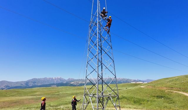 Muş'ta ekipler, elektrik şebekesini güçlendiriyor