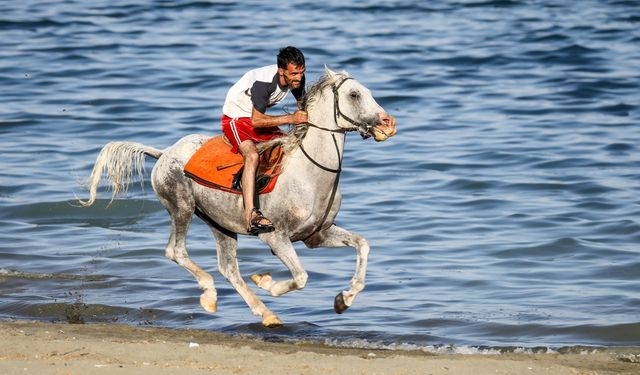 Şampiyon atlar Van Gölü'nün tuzlu ve sodalı suyunda "form" tutuyor