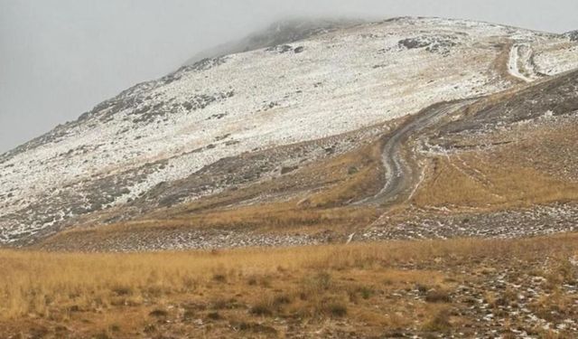 Van'ın yüksek kesimlerine kar yağdı