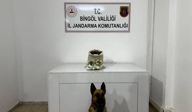 Bingöl'de 11 kilo 250 gram esrar ele geçirildi