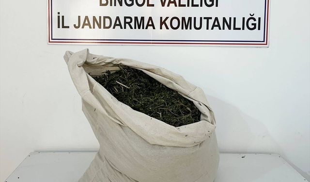 Bingöl'de 8 kilogram esrar ve 4 bin 915 kök Hint keneviri ele geçirildi