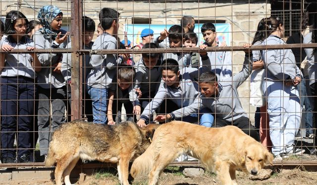 Bitlis'te 4 Ekim Hayvanları Koruma Günü etkinliği