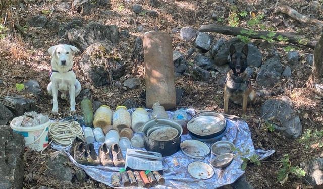 Elazığ'da terör örgütü PKK'ya ait patlayıcı ve yaşam malzemesi ele geçirildi