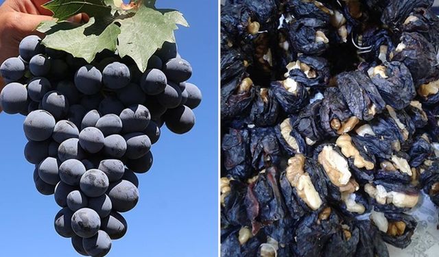 Erzincan'ın Coğrafi İşaretli Ürünleri İçin Destek Başladı