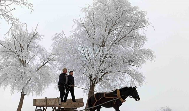 Erzurum dondu, Erzincan ise donacak