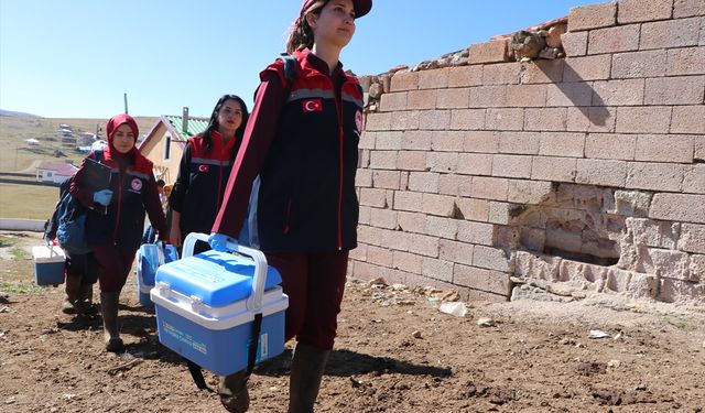 Erzurum kırsalında hayvan sağlığını kadın veterinerler koruyor