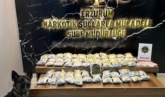 Erzurum'da 6 kilo 975 gram uyuşturucu ele geçirildi, 1 zanlı tutuklandı