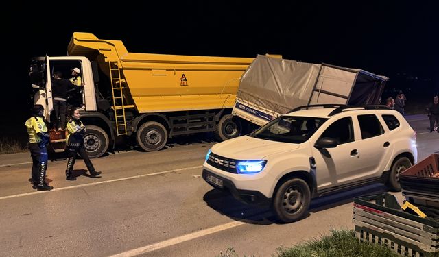 Erzurum'da yol kenarındaki kamyona çarpıp şarampole düşen kamyonetin sürücüsü yaralandı