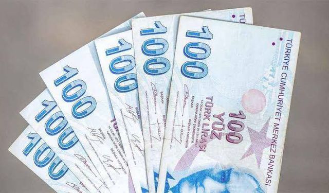 Bilmeyen alamayacak! Devletten başvuran kadına 20 bin lira destek