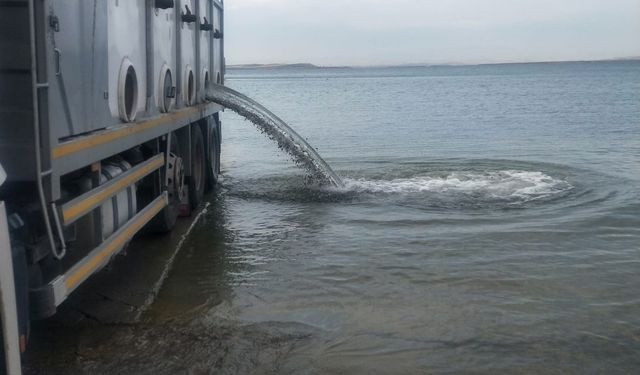 Malatya'da baraj ve göletlere 2,2 milyon sazan yavrusu bırakıldı