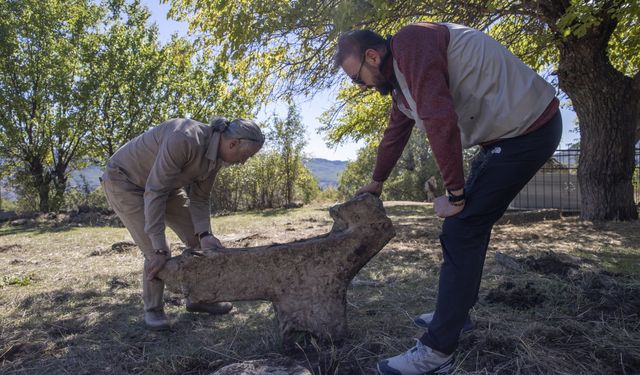 Tunceli Müzesi ekipleri, kültürel varlıkların tespit ve tescili için sahada