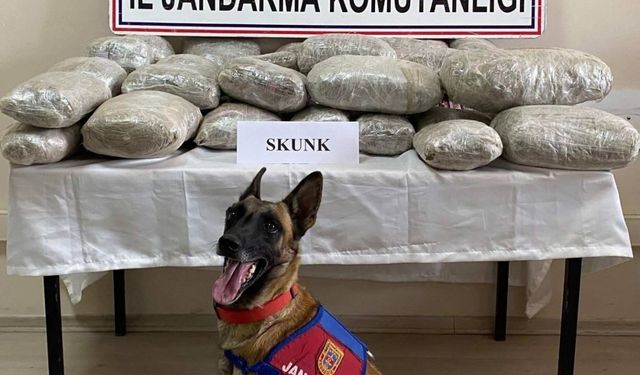 Van'da 28 kilo 574 gram uyuşturucu ele geçirildi