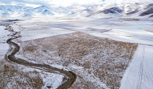 Van'da kara hazırlıksız yakalanan besiciler zor anlar yaşadı