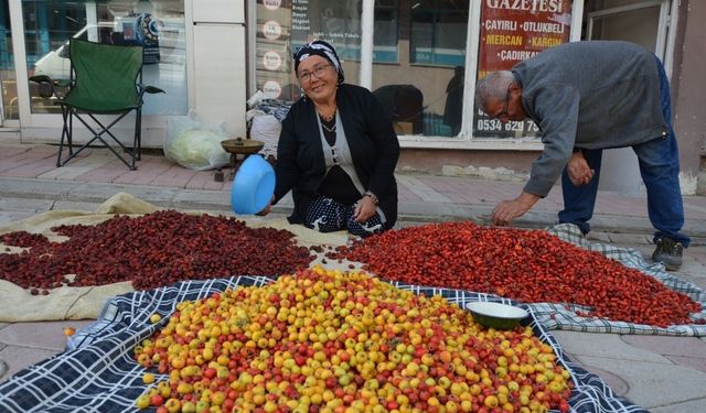 Yaban meyveleri pazar tezgahlarını süslüyor