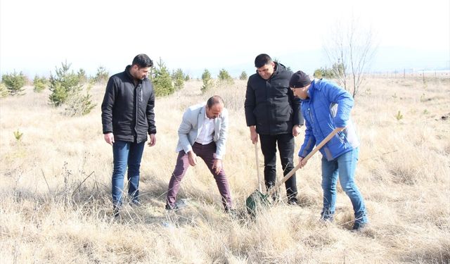 Ardahan'da "Adalet Ormanı"na 150 Fidan Dikildi