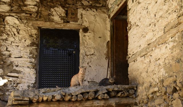 Bitlis'in Hizan İlçesindeki Uzuntaş Köyü, Sonbaharda Doğal Güzellikleriyle Göz Kamaştırıyor