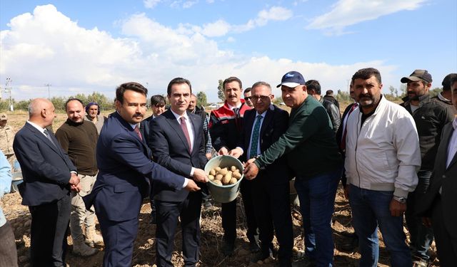 Bitlis'te 192 Ton Patates İhtiyaç Sahibi Ailelere Ulaştırıldı