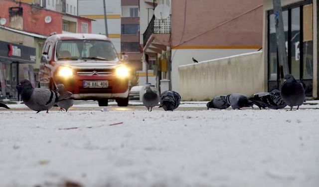 Doğu Anadolu'da Kar Yağışı Etkisini Gösterdi: Kars, Ardahan, Ağrı ve Tunceli Beyaza Büründü