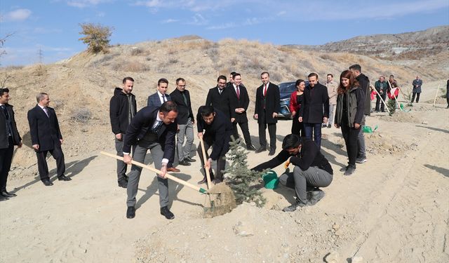 Erzincan’da "Hakim Serdar Bayraktar Hatıra Ormanı" açıldı: 200 fidan toprakla buluştu