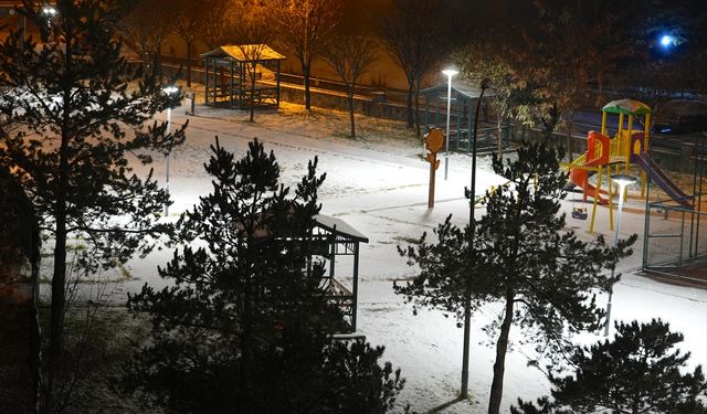 Erzurum ve Tunceli'de kar yağışı