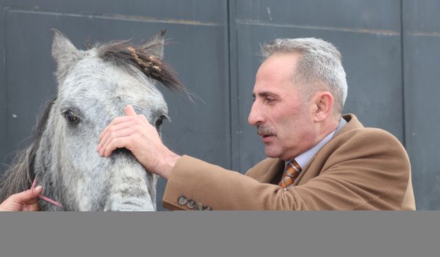 Erzurum'da sokak ortasında donmuş gibi görünen atın ayağında kırık tespit edildi