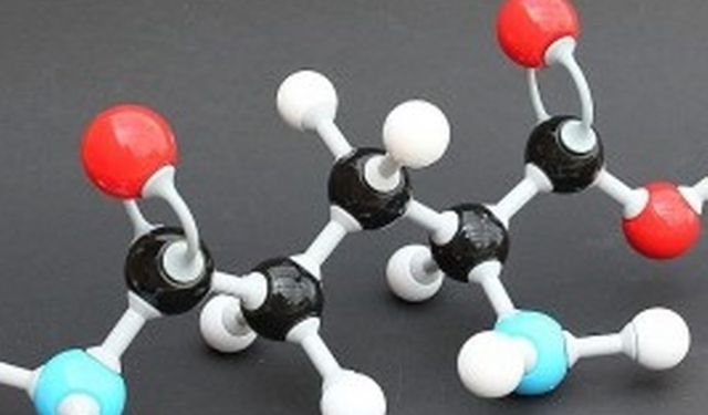 Vücutta doğal olarak bulunan ve hayati görevler üstlenen glutaminin faydaları