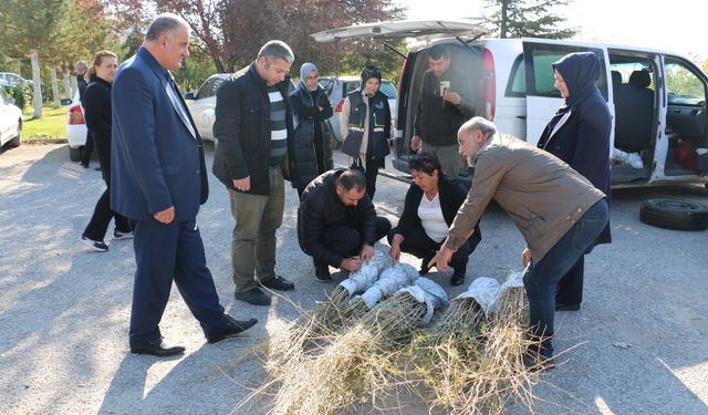 Erzincan'da goji berry yetiştiriciliği başladı