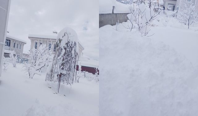 Erzincan Üzümlü'de kar manzarası adeta mest etti: Kar kalınlığı 80 cm'ye ulaştı