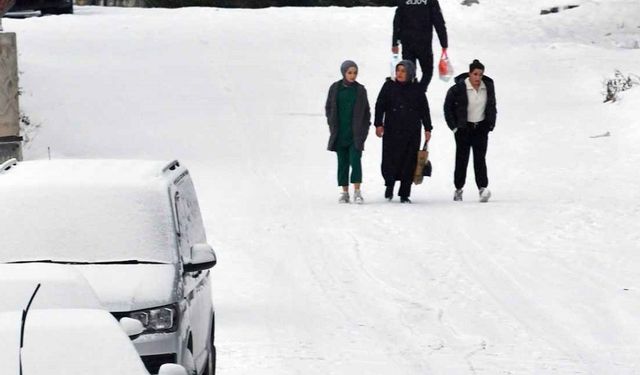 SON DAKİKA: Meteoroloji Erzincan ve Erzurum için kar yağışı uyarısı! Vatandaşlar dikkat etmeli