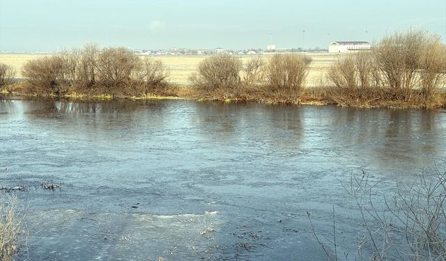 Kars ve Ardahan'da soğuk hava etkili: Ağaçlar beyaza büründü, derelerde buz tabakası oluştu