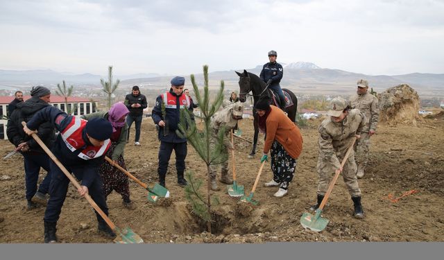 Van ve Bitlis'te "Milli Ağaçlandırma Günü" coşkusu: binlerce fidan toprakla buluştu