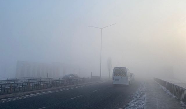 Erzincan'da yoğun sis etkili oldu