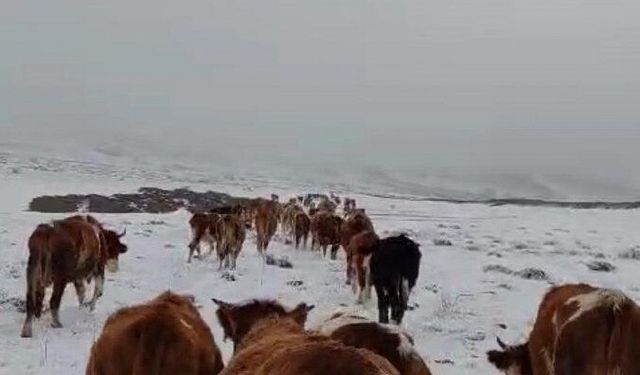 Kar ve sisin ardından yolculuk başladı